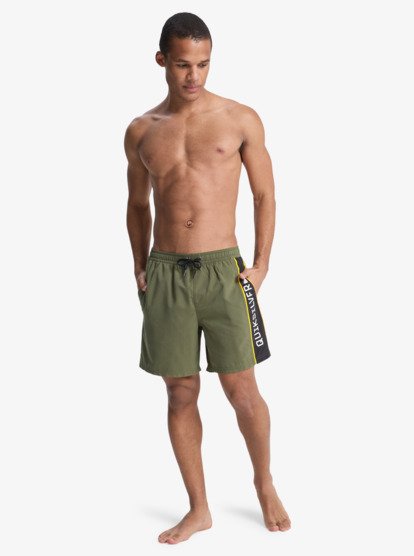 Everyday Clicker Volley 17" - Swim Shorts for Men  EQYJV04203