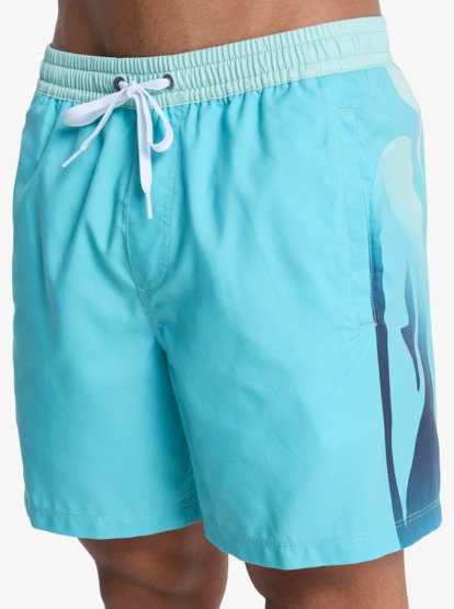 Everyday Holmes Volley 16" - Swim Shorts for Men  EQYJV04221
