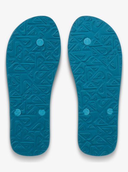 Molokai Art - Flip-Flops for Men  EQYL100082