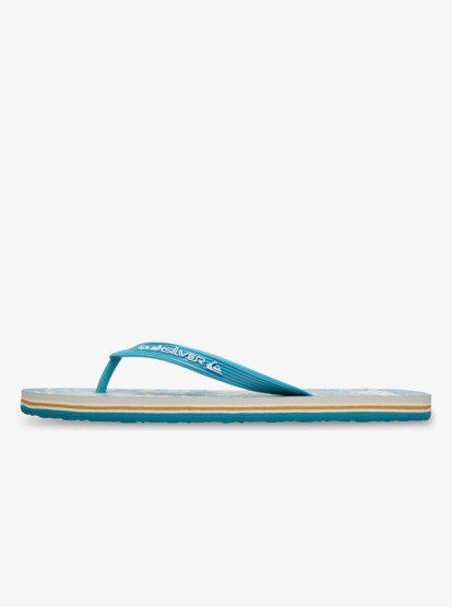 Molokai Art - Flip-Flops for Men  EQYL100082