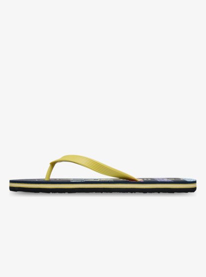 Molokai Stripe - Flip-Flops for Men  EQYL100083