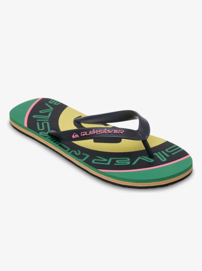 Molokai Screen - Flip-Flops for Men  EQYL100091