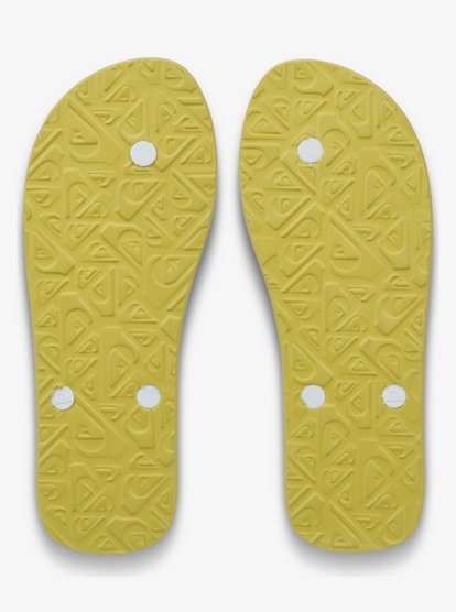 Molokai Screen - Flip-Flops for Men  EQYL100091