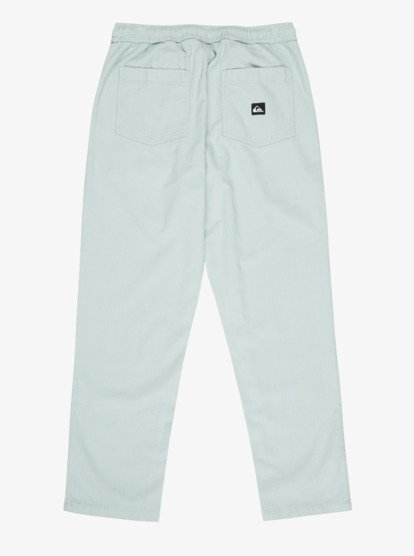 Taxer Regular Cord - Trousers for Men  EQYNP03315