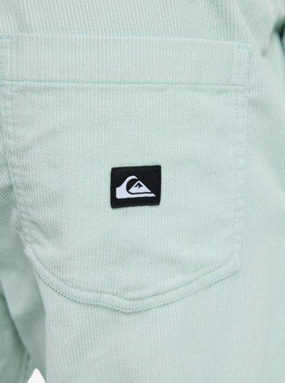 Taxer Regular Cord - Trousers for Men  EQYNP03315