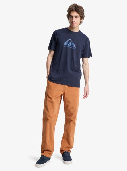 quiksilver, Taxer Regular Cord - Trousers for Men, BRAN (cmn0) Taxer Regular Cord - Trousers for Men  EQYNP03315