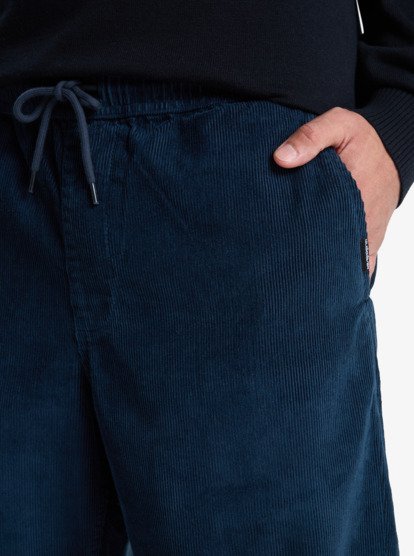 quiksilver, Taxer Regular Cord - Broek voor Heren, DARK NAVY (ktp0) Taxer Regular Cord - Trousers for Men  EQYNP03315