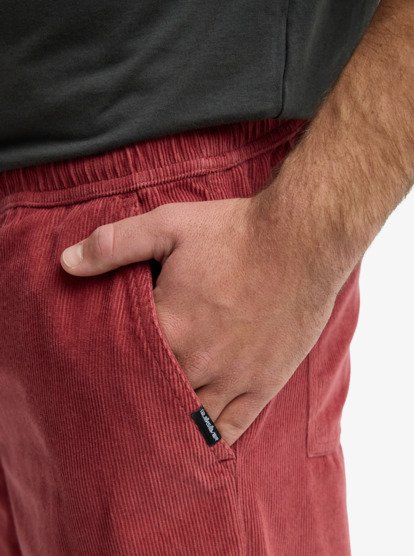 Taxer Regular Cord - Trousers for Men  EQYNP03315