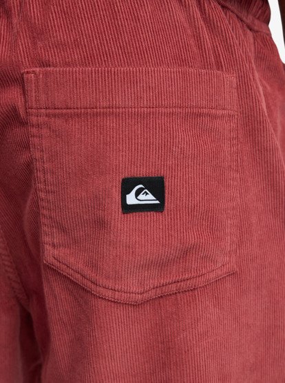 Taxer Regular Cord - Trousers for Men  EQYNP03315