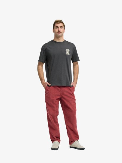 Taxer Regular Cord - Trousers for Men  EQYNP03315