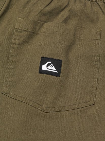 Taxer Regular Twill  EQYNP03328
