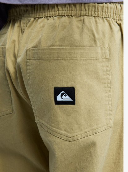 Taxer Regular Twill - Elasticated Cargo Trousers for Men  EQYNP03328