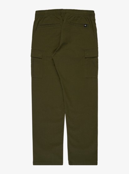 quiksilver, Taxer Regular Cargo - Non-Denim Trousers for Men, GRAPE LEAF (cre0) Taxer Regular Cargo - Non-Denim Trousers for Men  EQYNP03337