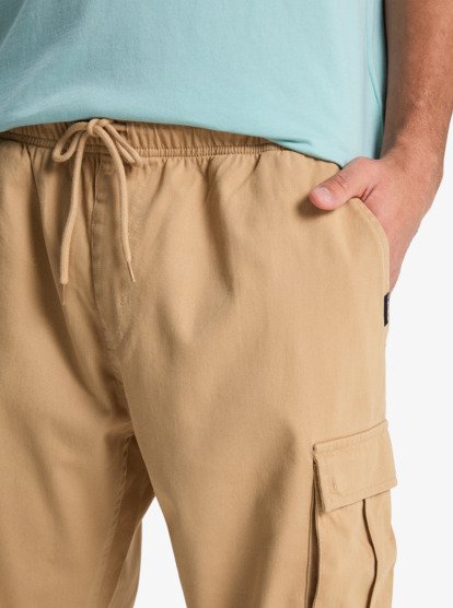 Taxer Regular - Cargo Pant for Men  EQYNP03337