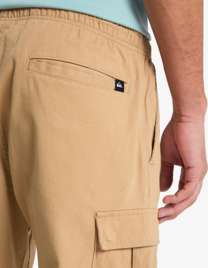 Taxer Regular - Cargo Pant for Men  EQYNP03337