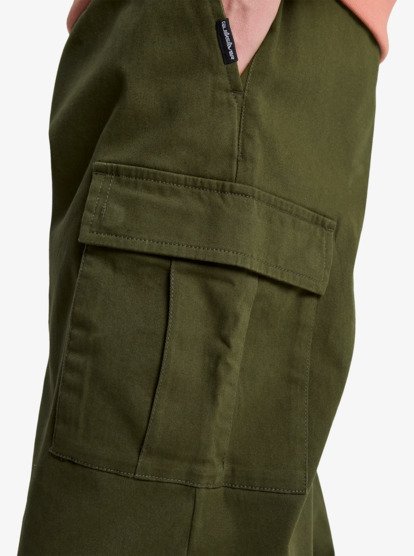 quiksilver, Taxer Regular Cargo - Non-Denim Trousers for Men, GRAPE LEAF (cre0) Taxer Regular Cargo - Non-Denim Trousers for Men  EQYNP03337