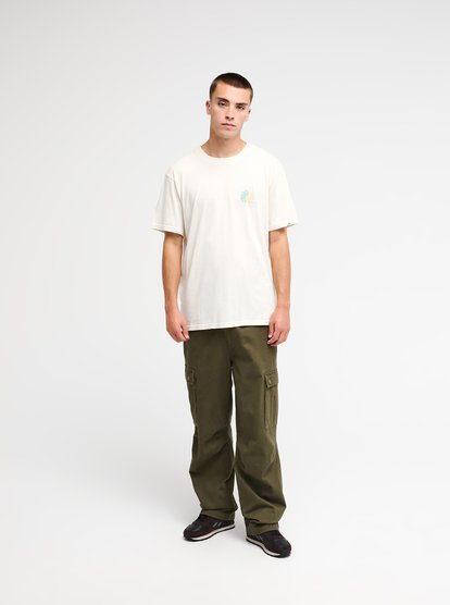Quiksilver Cargo  EQYNP03353