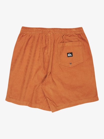 Taxer 18" - Corduroy Walkshorts for Men  EQYWS03878