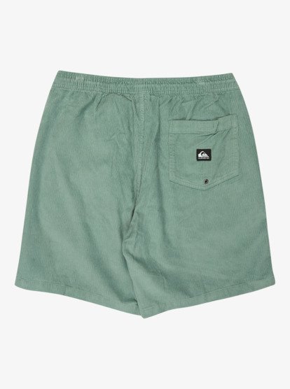 Taxer 18" - Corduroy Walkshorts for Men  EQYWS03878