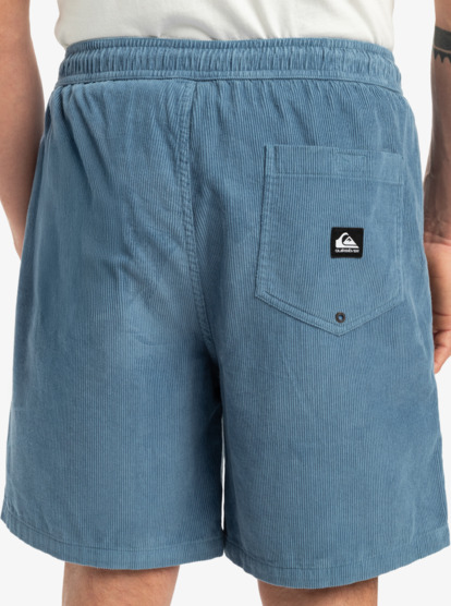 Taxer 18" - Corduroy Walkshorts for Men  EQYWS03878