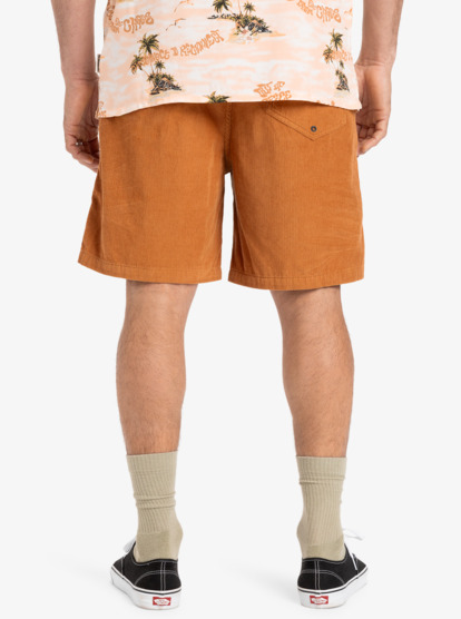 Taxer 18" - Corduroy Walkshorts for Men  EQYWS03878