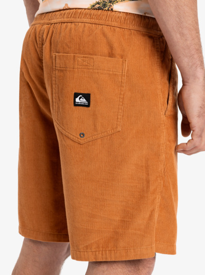 Taxer 18" - Corduroy Walkshorts for Men  EQYWS03878