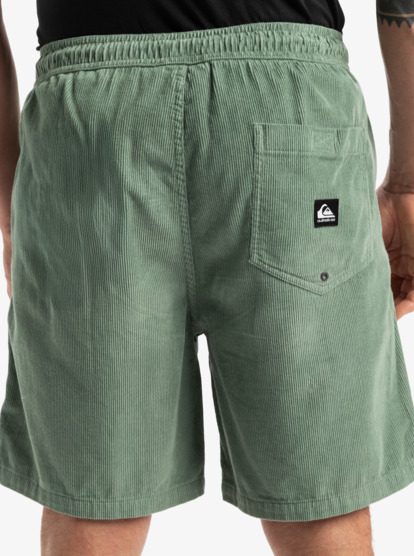 Taxer 18" - Corduroy Walkshorts for Men  EQYWS03878