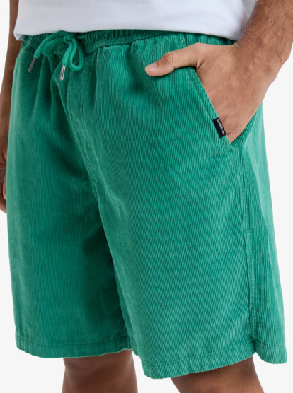 Taxer 18" - Corduroy Walkshorts for Men  EQYWS03878