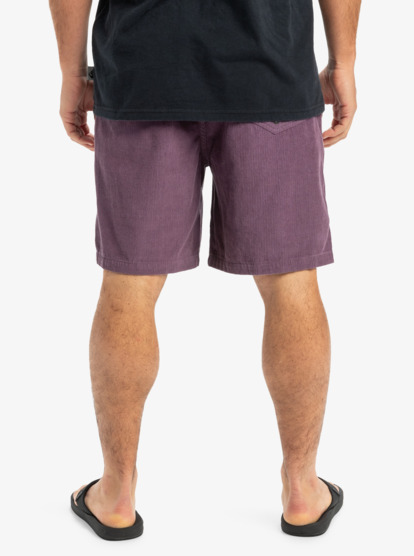 Taxer 18" - Corduroy Walkshorts for Men  EQYWS03878