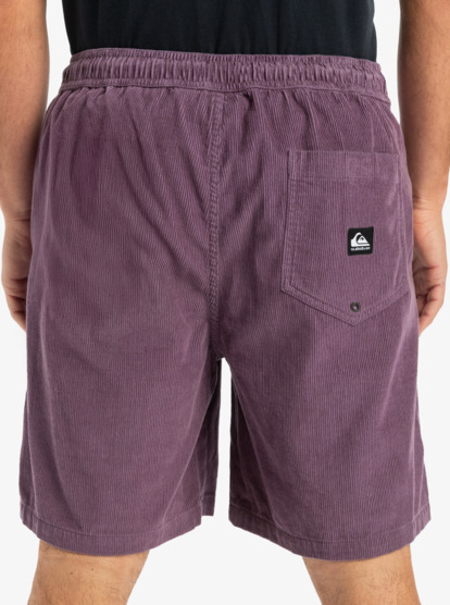 Taxer 18" - Corduroy Walkshorts for Men  EQYWS03878