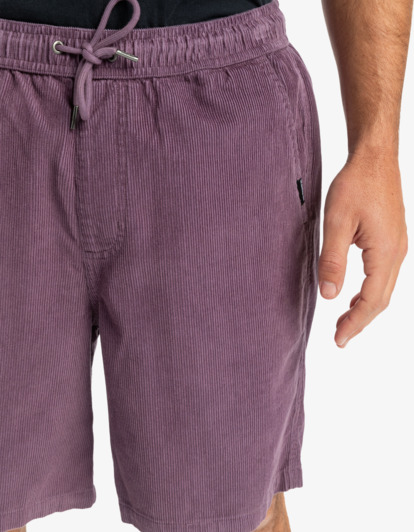 Taxer 18" - Corduroy Walkshorts for Men  EQYWS03878