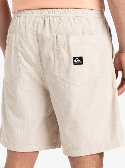 Taxer 18" - Corduroy Walkshorts for Men  EQYWS03878