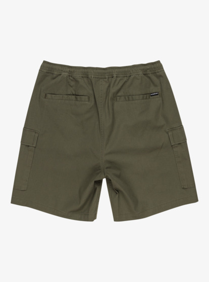 Taxer 19" - Cargo Walkshorts for Men  EQYWS03879