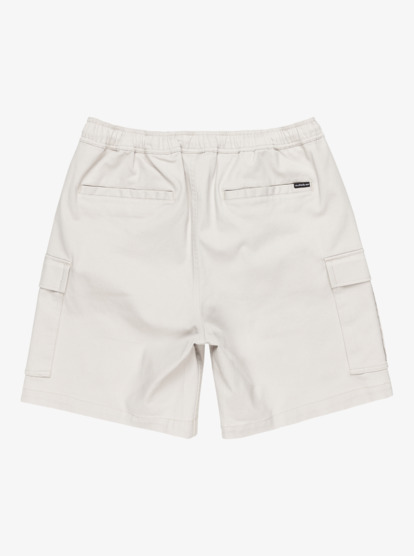 Taxer 19" - Cargo Walkshorts for Men  EQYWS03879