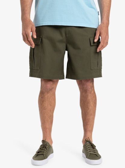 Taxer 19" - Cargo Walkshorts for Men  EQYWS03879