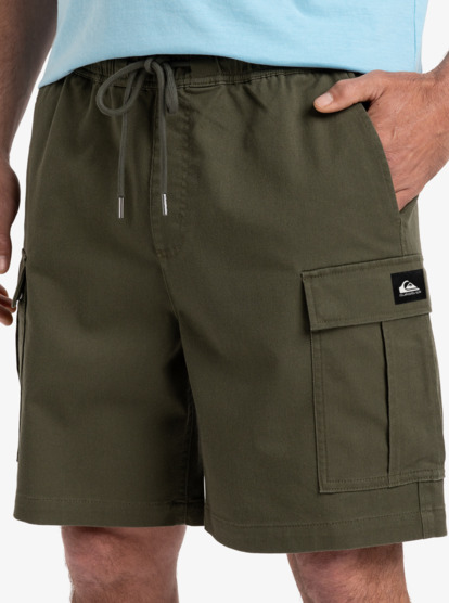 Taxer 19" - Cargo Walkshorts for Men  EQYWS03879