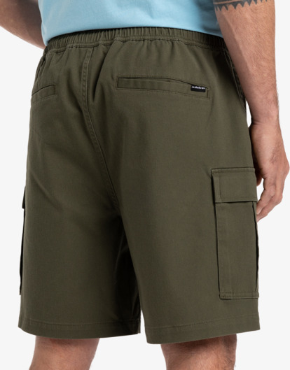 Taxer 19" - Cargo Walkshorts for Men  EQYWS03879