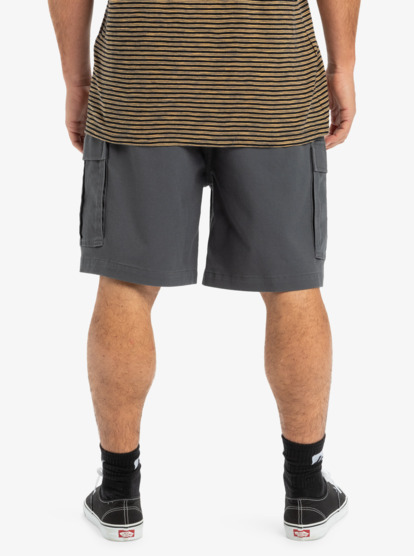 Taxer 19" - Cargo Walkshorts for Men  EQYWS03879