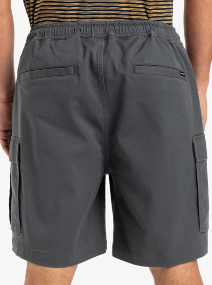 Taxer 19" - Cargo Walkshorts for Men  EQYWS03879