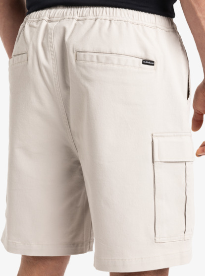 Taxer 19" - Cargo Walkshorts for Men  EQYWS03879