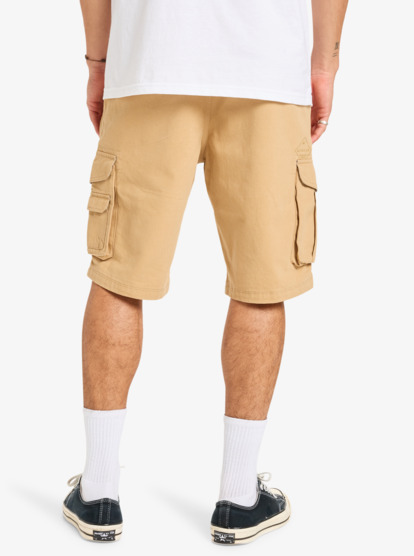 Crucial Battle 21" - Cargo Walkshorts for Men  EQYWS03881