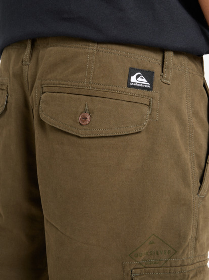 Crucial Battle 21" - Cargo Walkshorts for Men  EQYWS03881