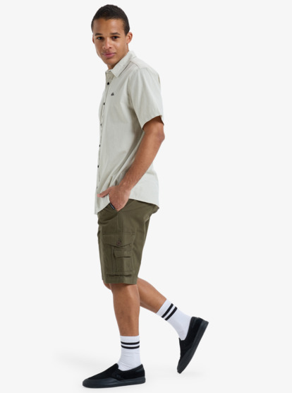 Crucial Battle 21" - Cargo Walkshorts for Men  EQYWS03881