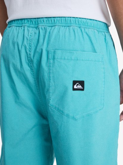 Taxer 19" - Elasticated Shorts for Men  EQYWS03915