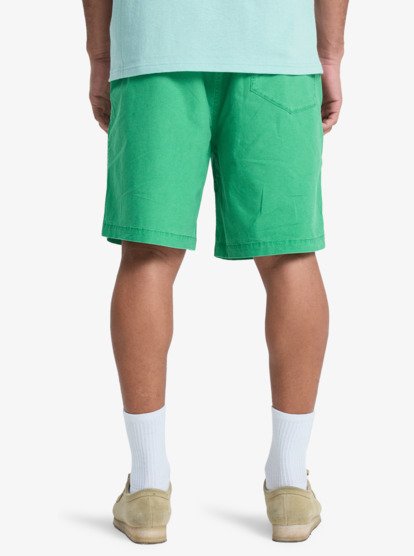 Taxer 19" - Elasticated Shorts for Men  EQYWS03915