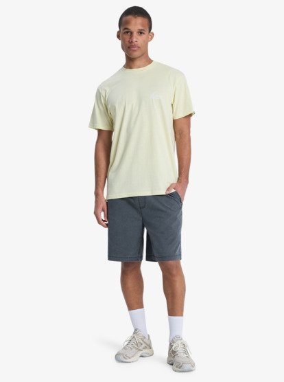 Taxer 19" - Elasticated Shorts for Men  EQYWS03915
