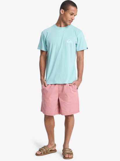 Taxer 19" - Elasticated Shorts for Men  EQYWS03915