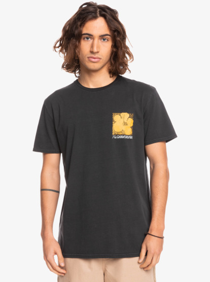 eqyzt06771_quiksilver,