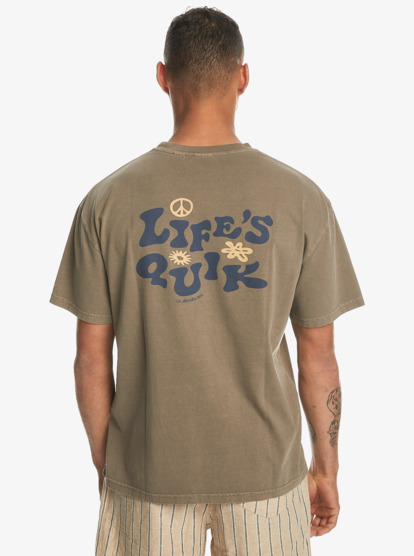 Lifes Quik  EQYZT07621