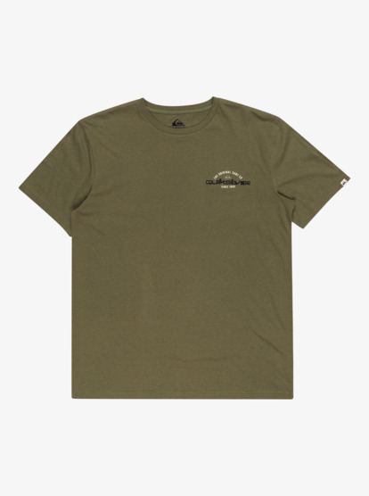 Arched Type  EQYZT07717